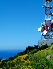 A tall red and white communication tower with multiple satellite dishes is situated on a hillside with vibrant yellow flowers and lush green vegetation, under a clear blue sky. The ocean is visible in the background beyond the hill.