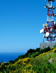A tall red and white communication tower with multiple satellite dishes is situated on a hillside with vibrant yellow flowers and lush green vegetation, under a clear blue sky. The ocean is visible in the background beyond the hill.