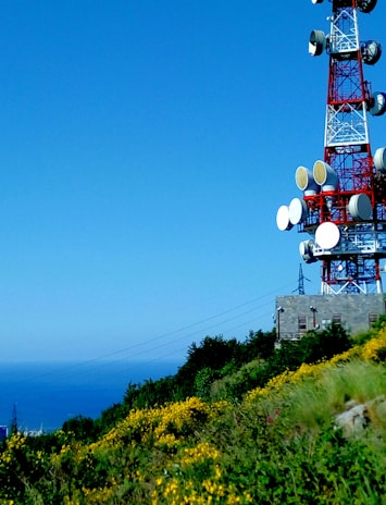 A tall red and white communication tower with multiple satellite dishes is situated on a hillside with vibrant yellow flowers and lush green vegetation, under a clear blue sky. The ocean is visible in the background beyond the hill.