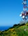 A tall red and white communication tower with multiple satellite dishes is situated on a hillside with vibrant yellow flowers and lush green vegetation, under a clear blue sky. The ocean is visible in the background beyond the hill.