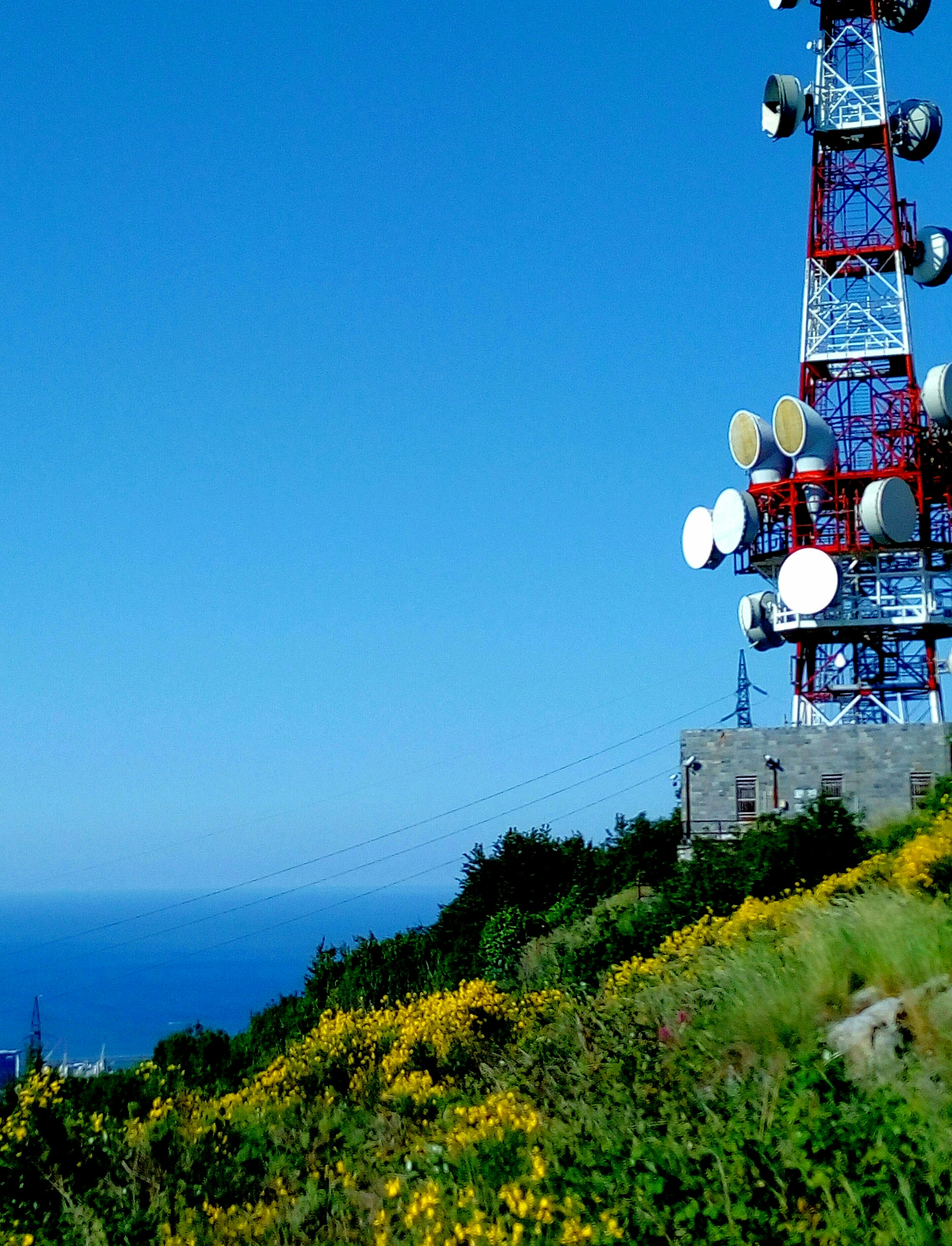 woman wearing yellow long-sleeved dress under white clouds and blue sky during daytime