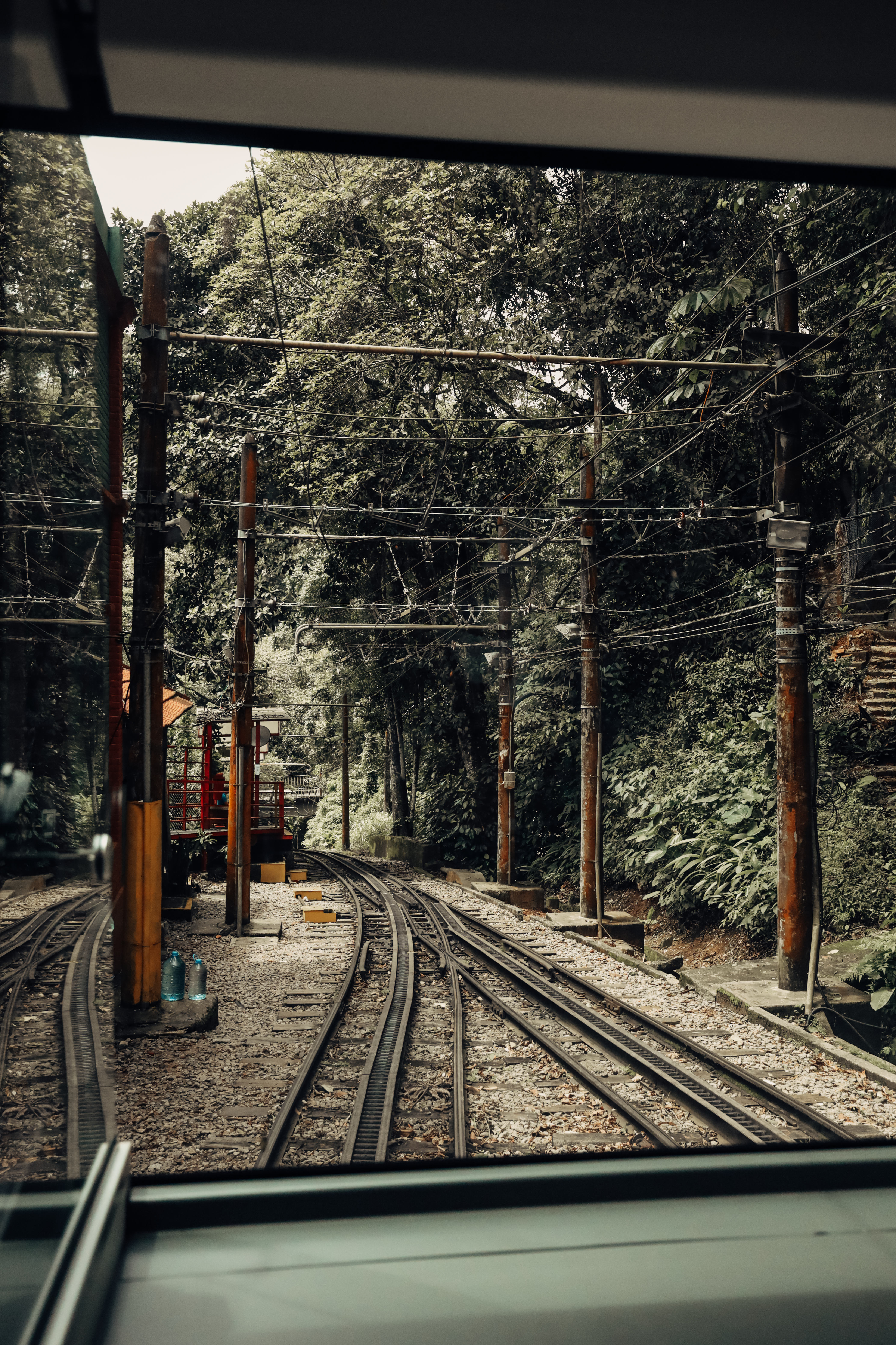 Photo by jefersonsantu