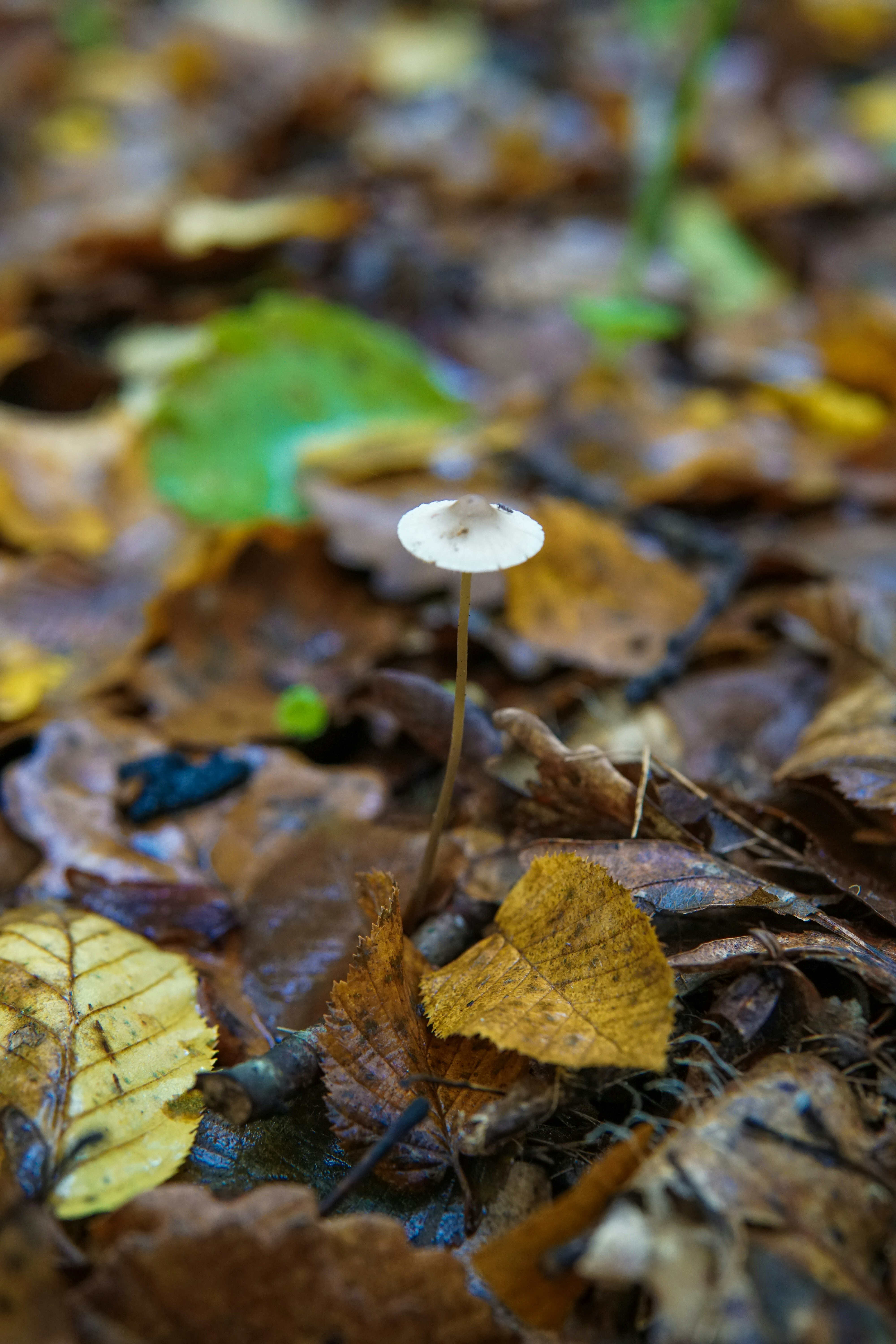 Photo by zynpayln