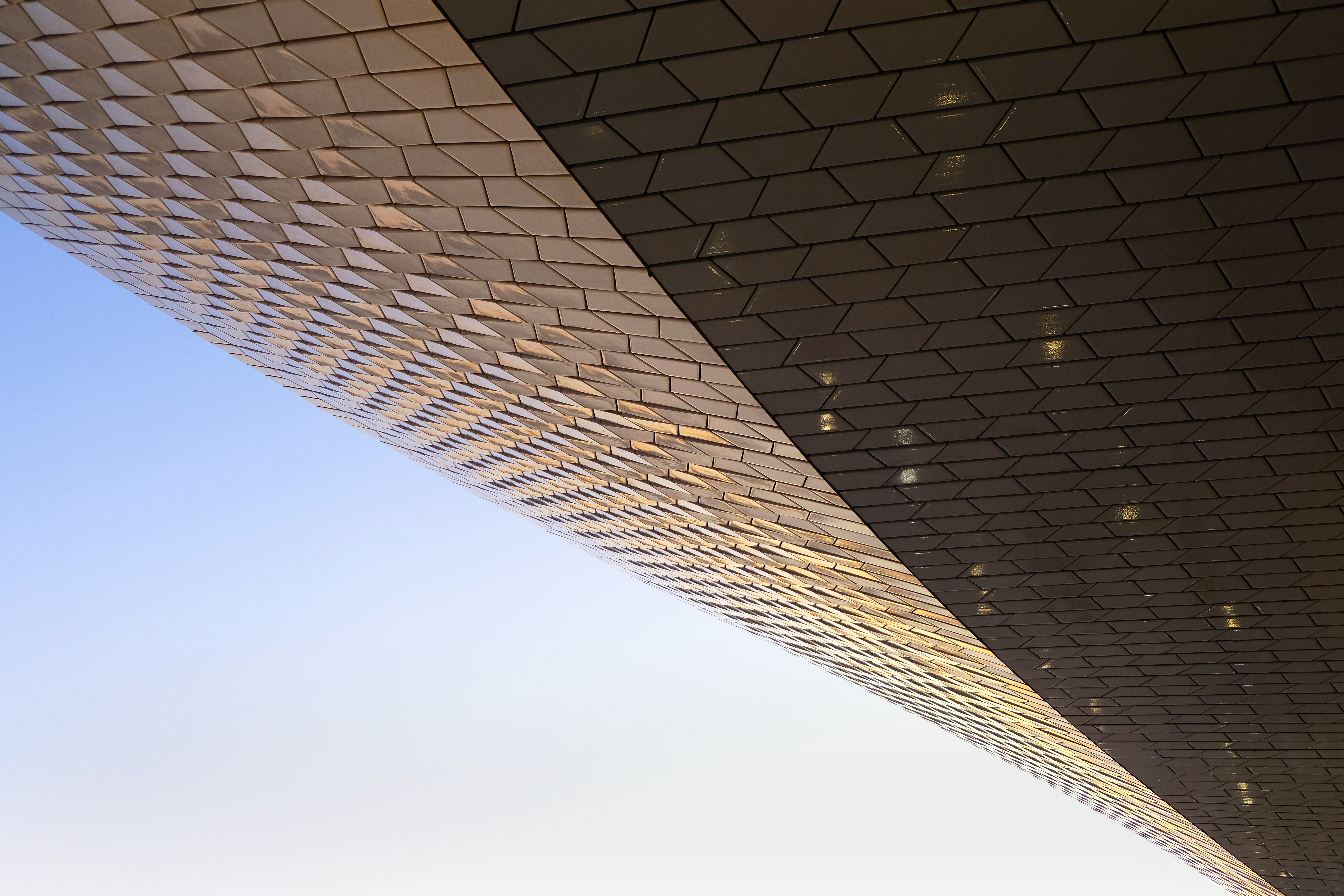 Photo by luxdispersa