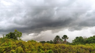 Dark clouds loom over a landscape of lush green vegetation and palm trees, with power lines visible across the sky.