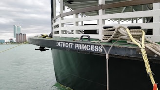 A riverboat named 'Detroit Princess' is docked near an urban waterfront. The view includes the boat's upper deck with railings and mooring ropes. In the distance, there are modern high-rise buildings and a cloudy sky.