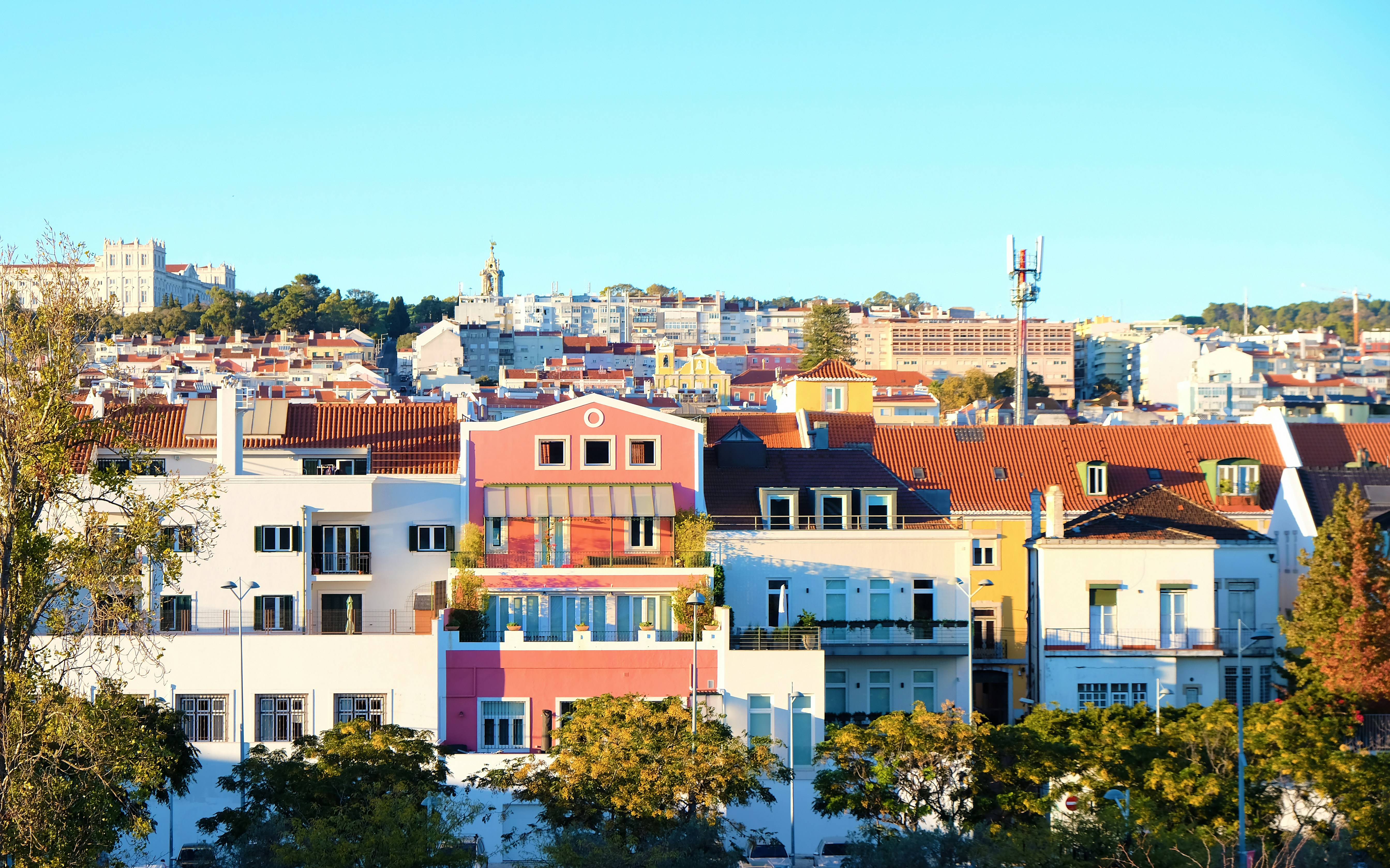 Photo by luxdispersa