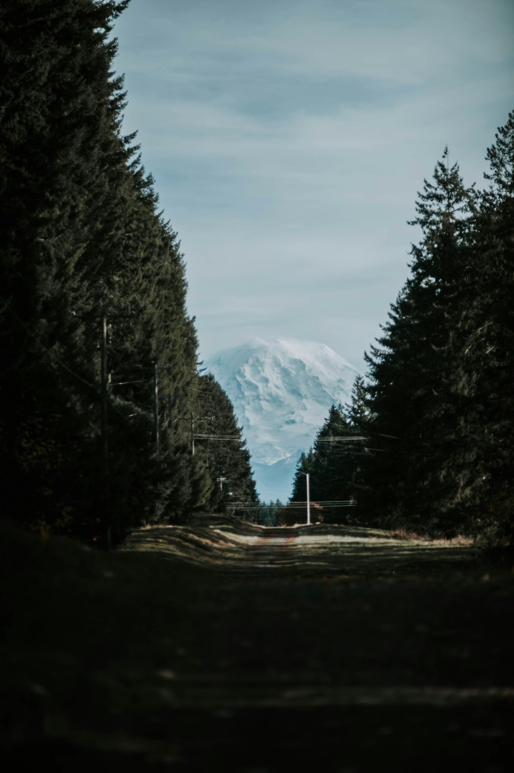 a dirt road surrounded by trees with a snow capped mountain in the distance