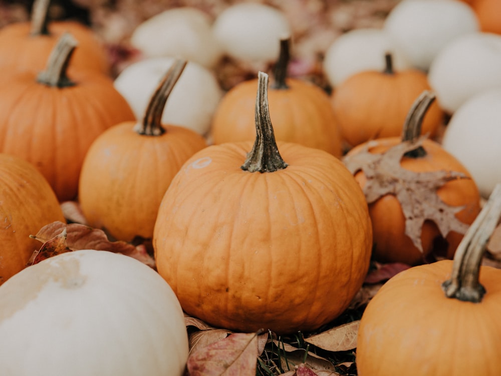 a group of pumpkins sitting on top of a pile of leaves