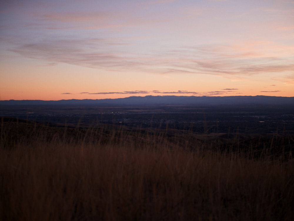 a view of a field with mountains in the distance