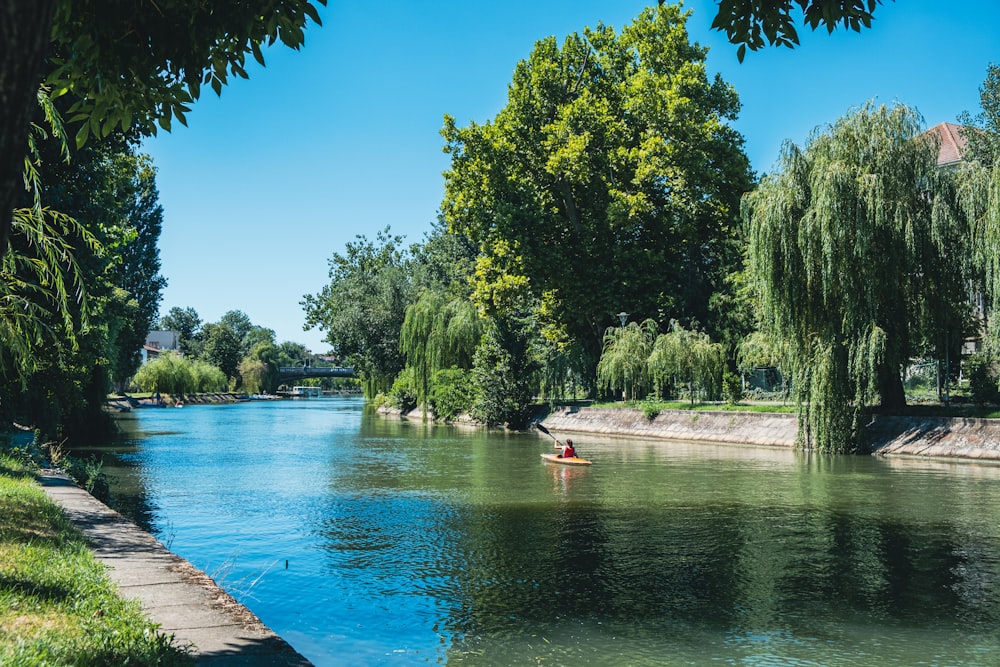 a person in a kayak on a river surrounded by trees