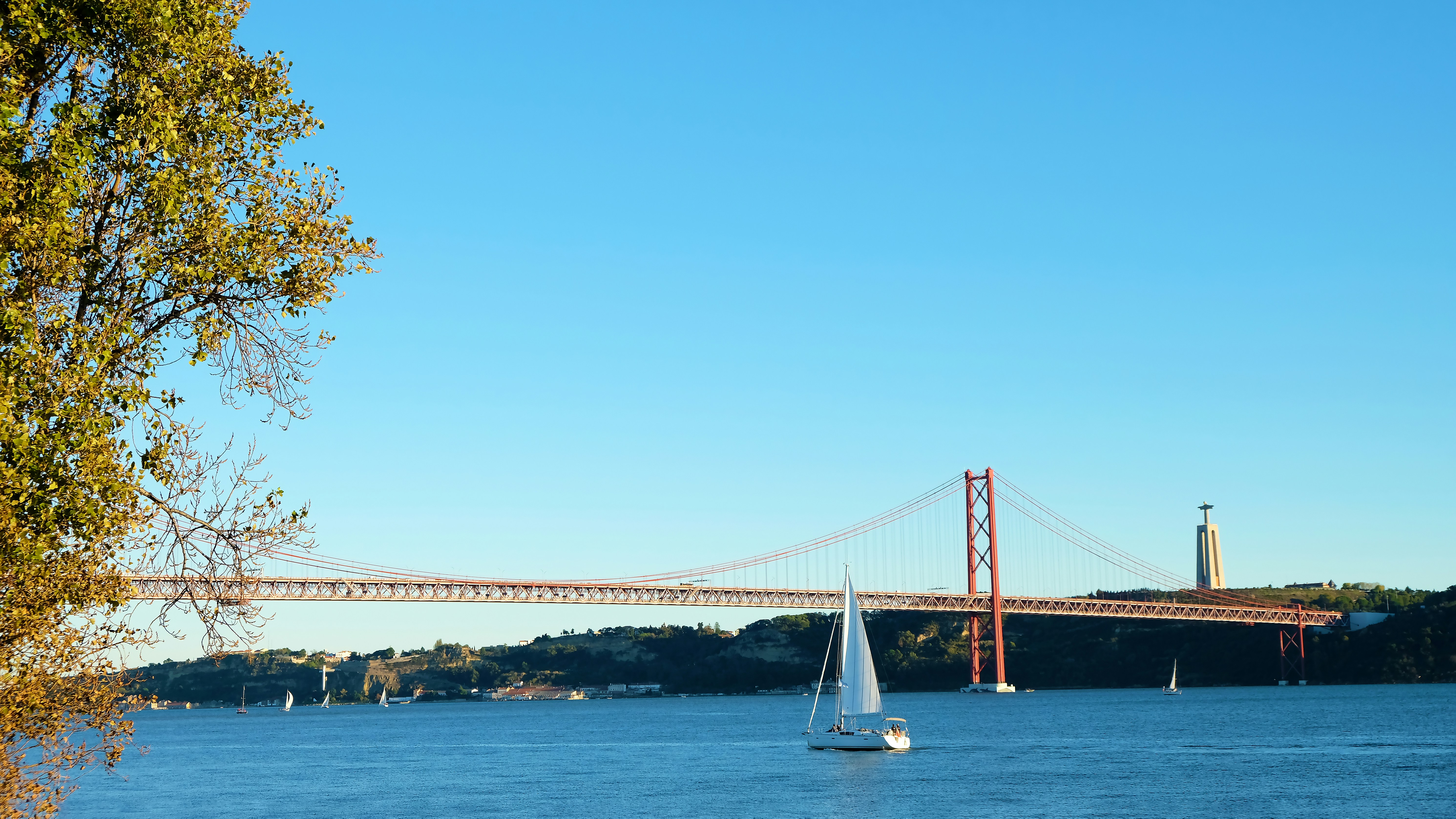 Photo by luxdispersa