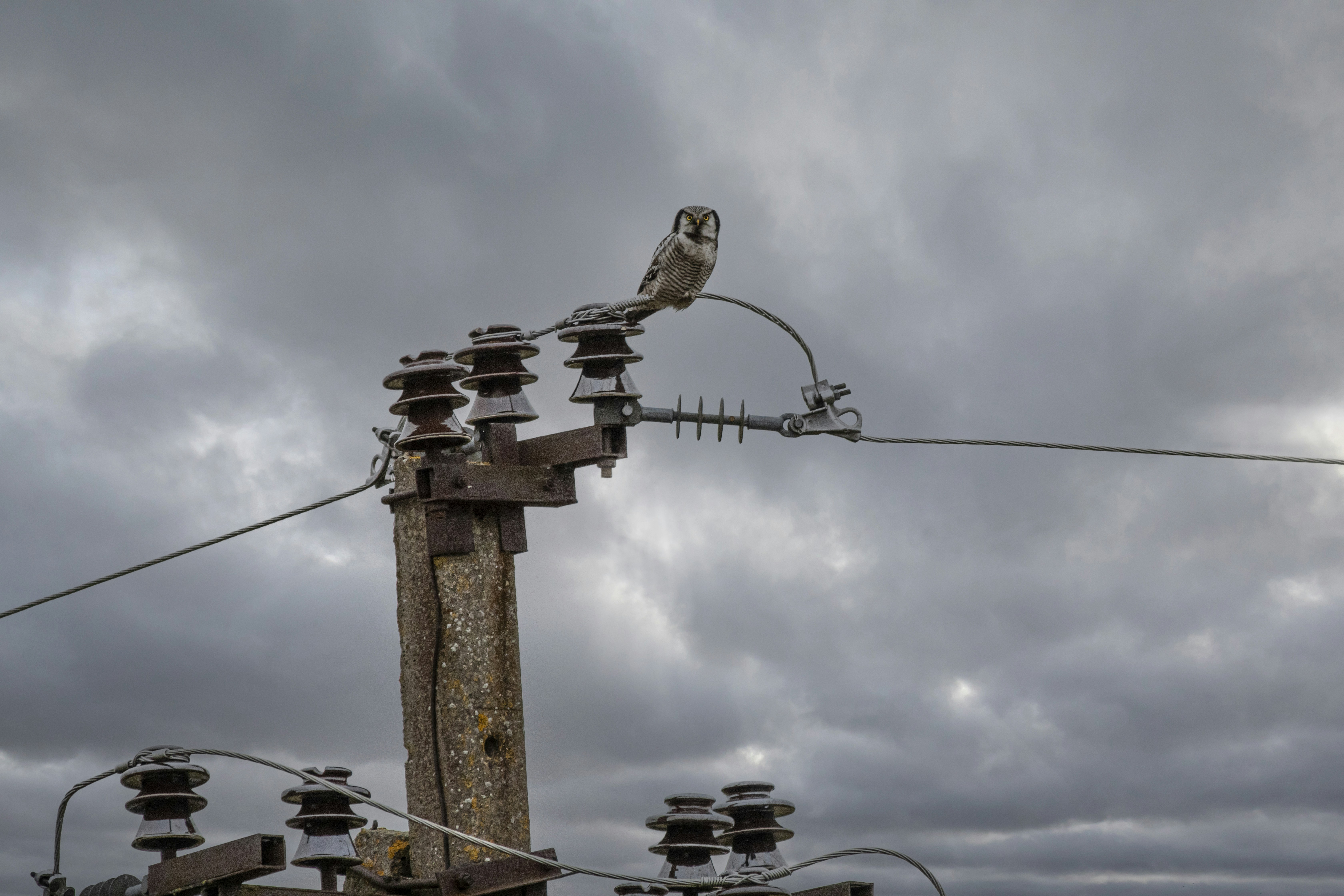 Photo by erik_karits