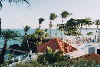 a view of a resort pool with palm trees