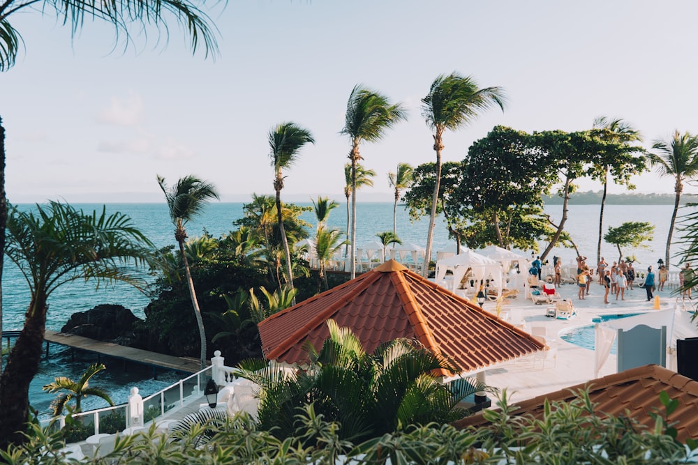 a view of a resort pool with palm trees