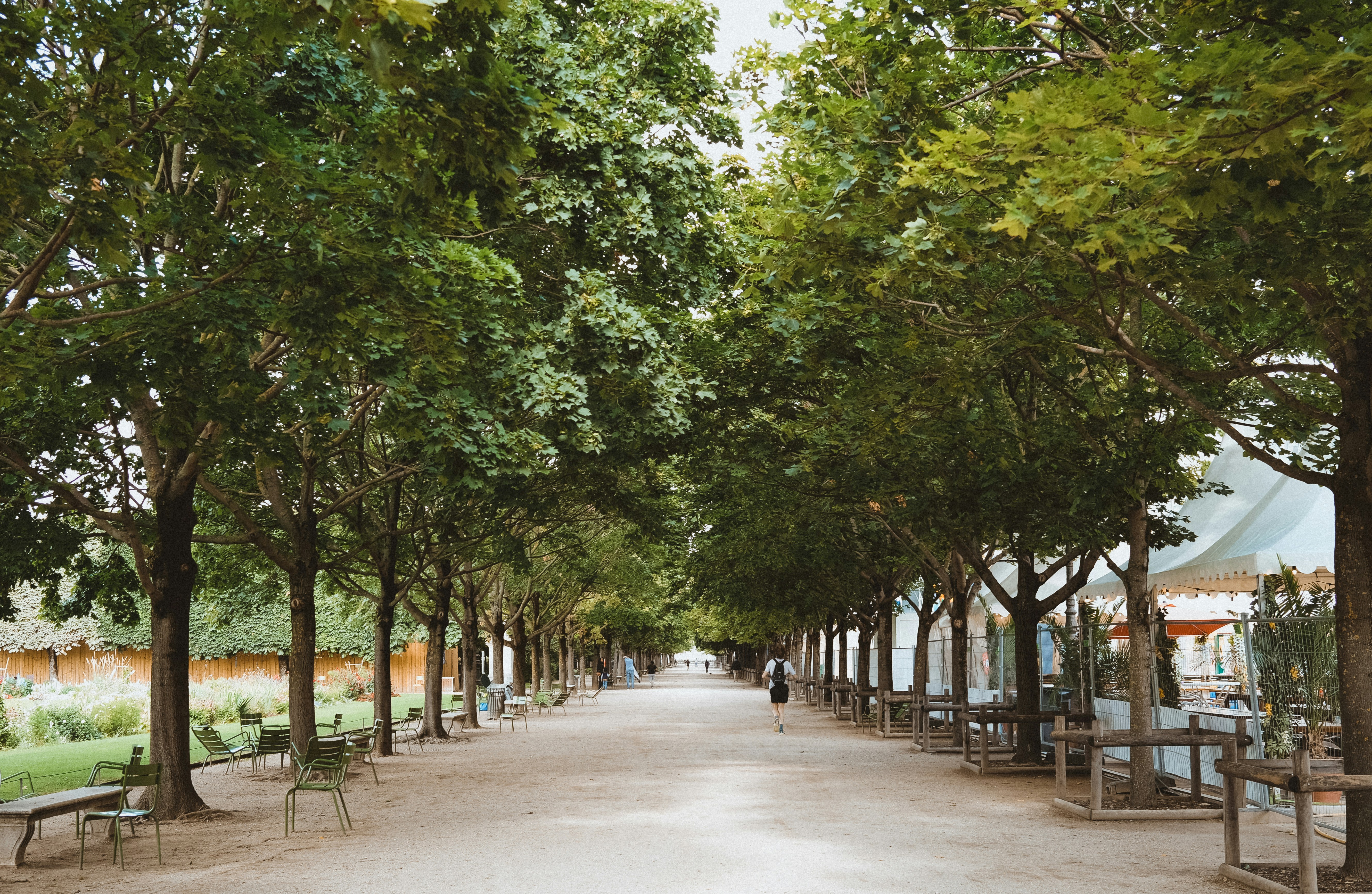 Photo by hoangdat302