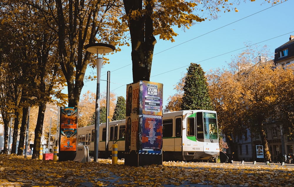 a public transit bus on a city street