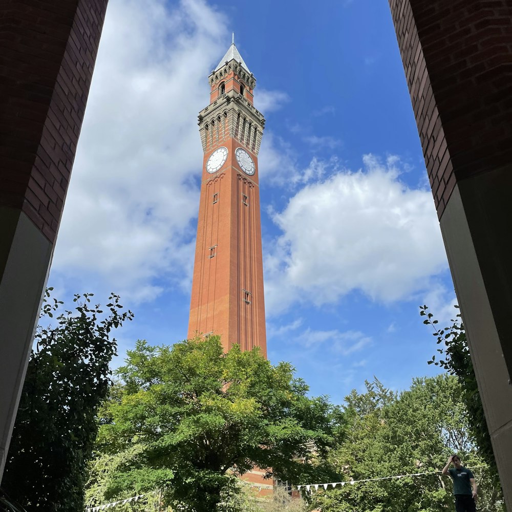 a tall clock tower towering over a lush green park