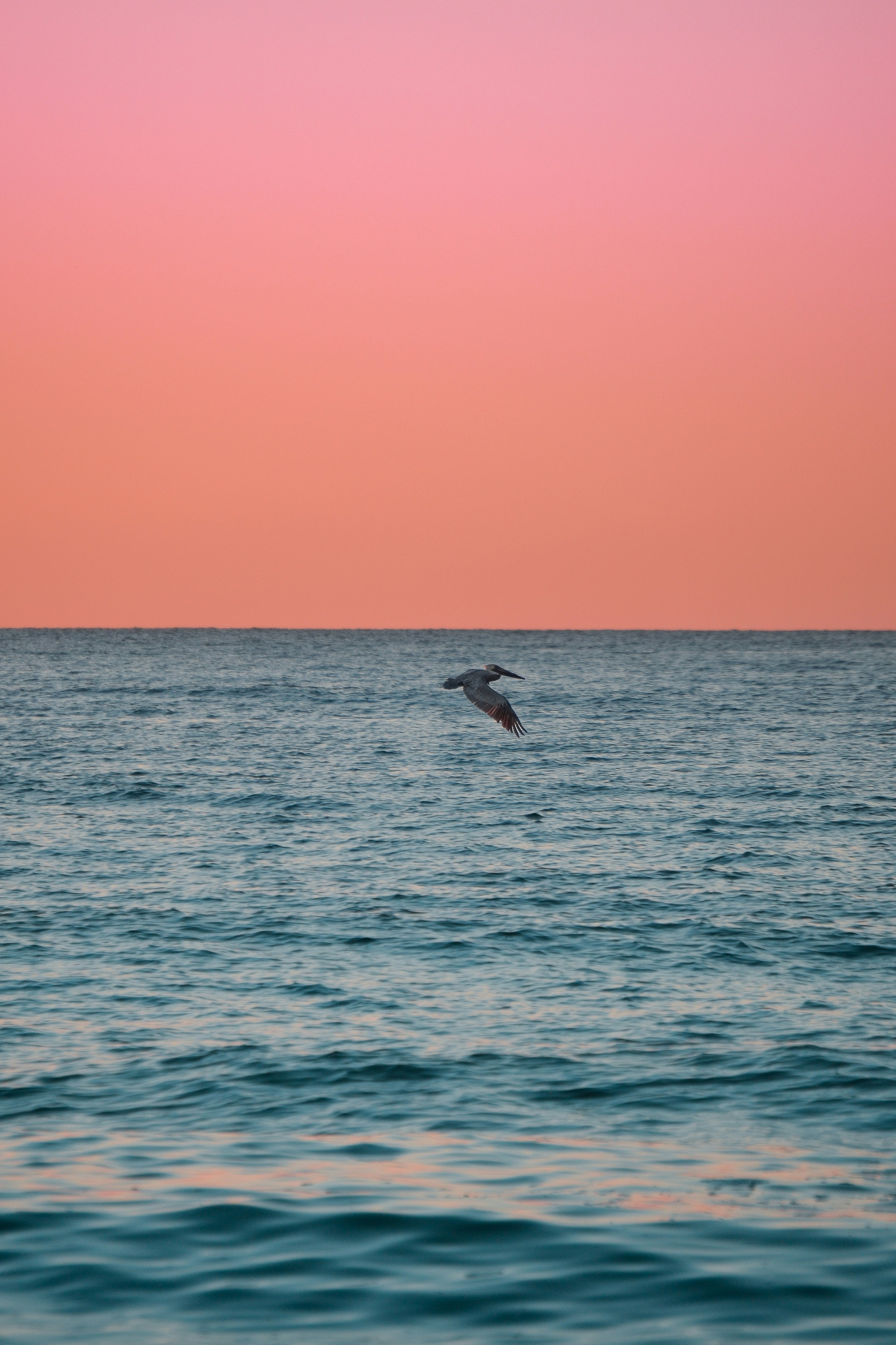 Photo by smiles_studio