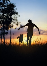 a man and his dog are silhouetted against a sunset
