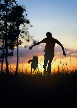 a man and his dog are silhouetted against a sunset