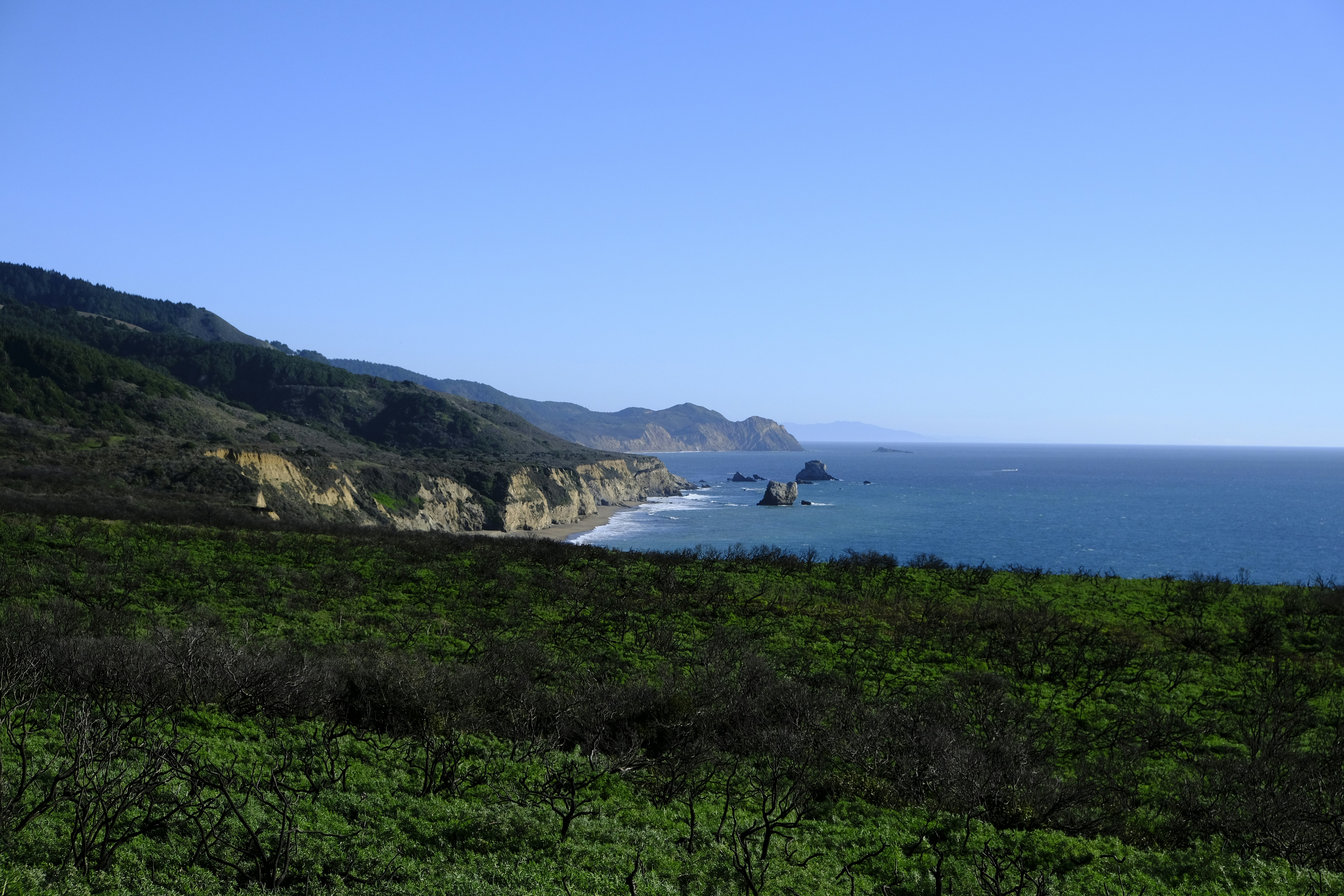 Photo by chandleraitchison