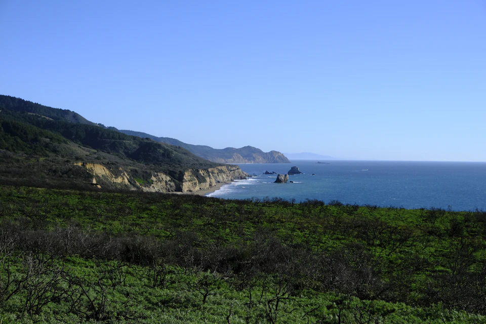 The image depicts a serene coastal landscape with a clear blue sky and a body of water that stretches out towards the horizon, where it meets a rocky coastline dotted with several large rocks. The water is calm and tranquil, reflecting the bright sunlight. On either side of the water, there are hills covered in lush green vegetation, adding to the picturesque scenery.

In the foreground, there's an array of trees and bushes that provide a sense of depth and scale to the image. The perspective from which the photo is taken allows for a comprehensive view of this beautiful coastal scene, showcasing its natural beauty and tranquility.