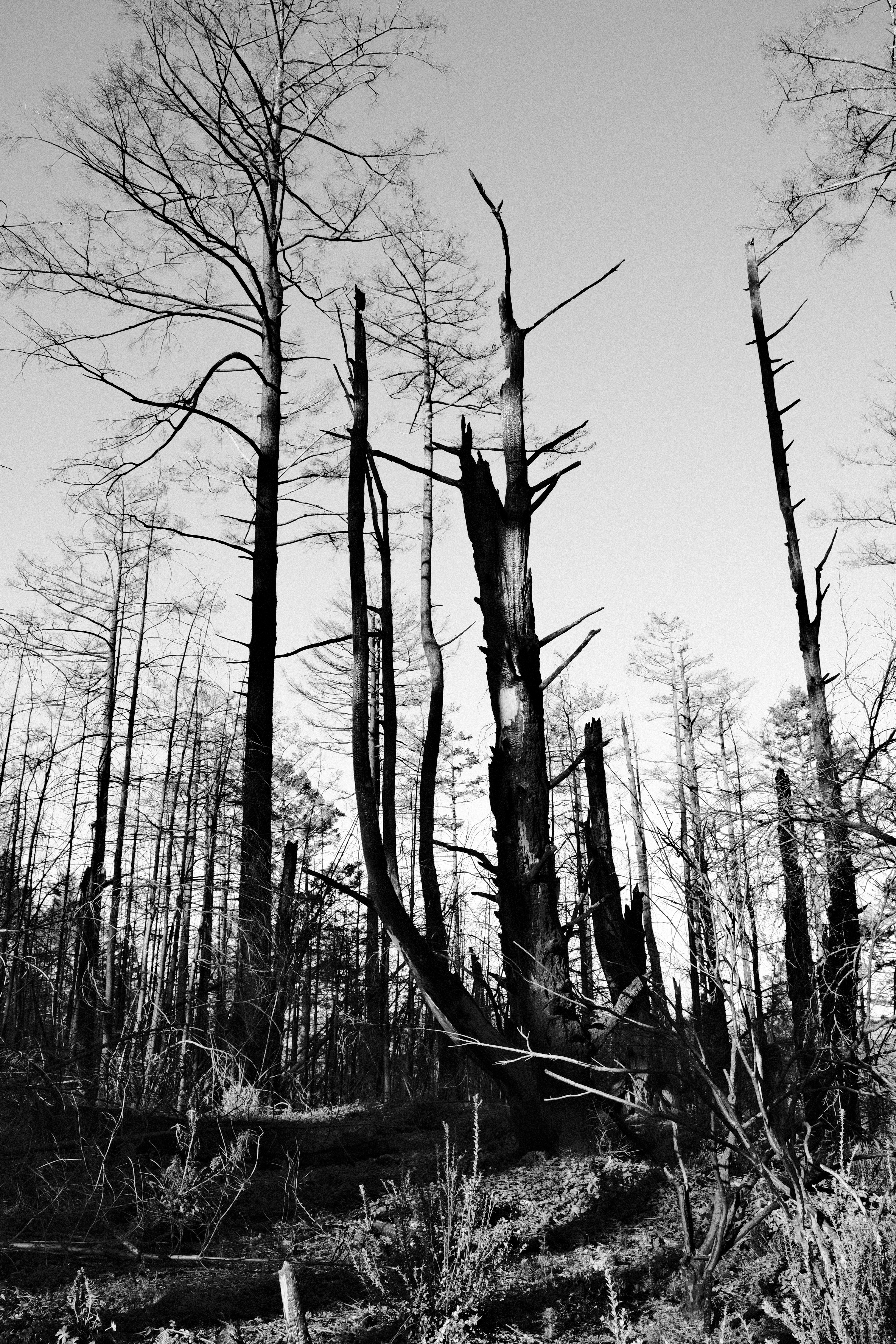 Photo by chandleraitchison