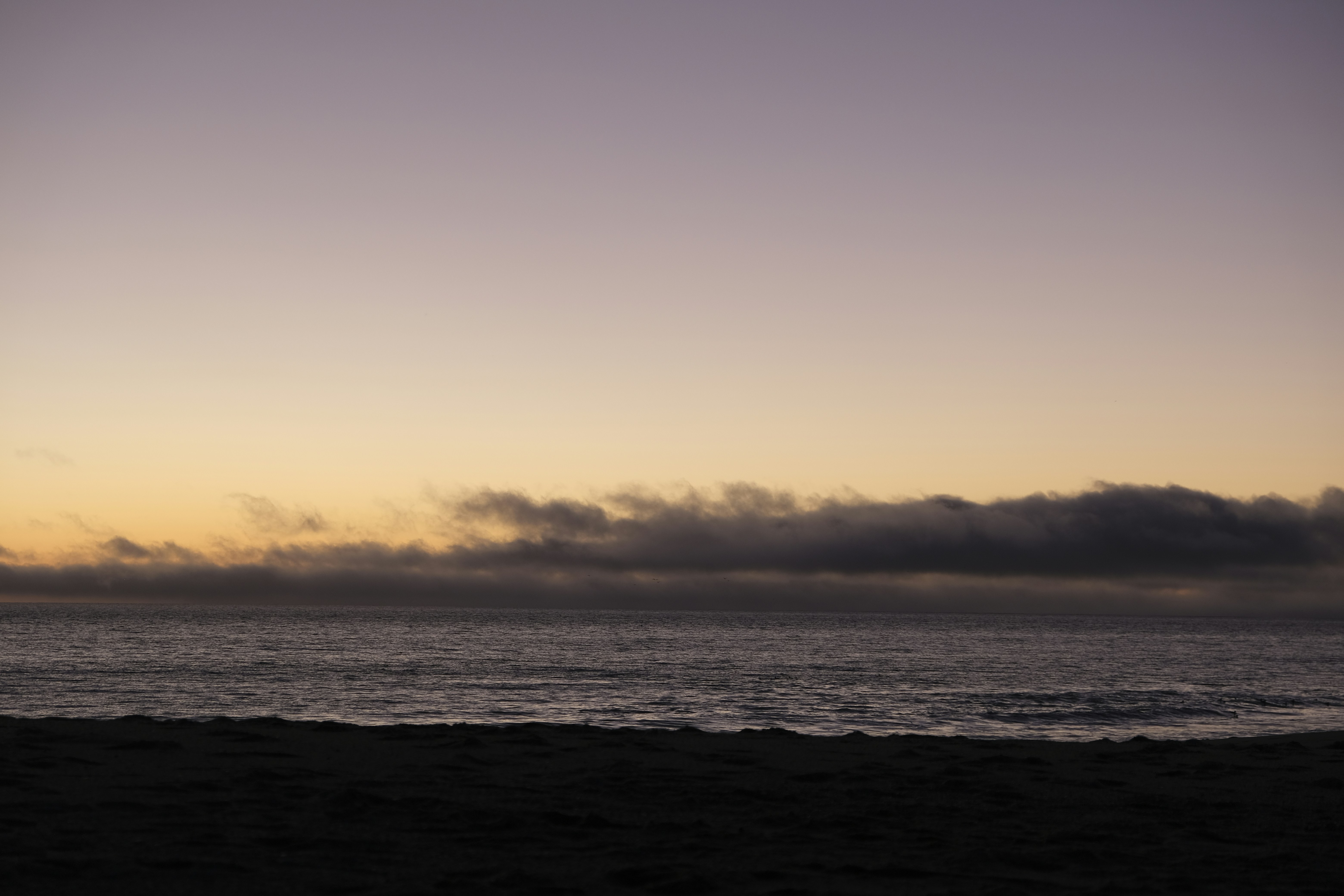 Photo by chandleraitchison