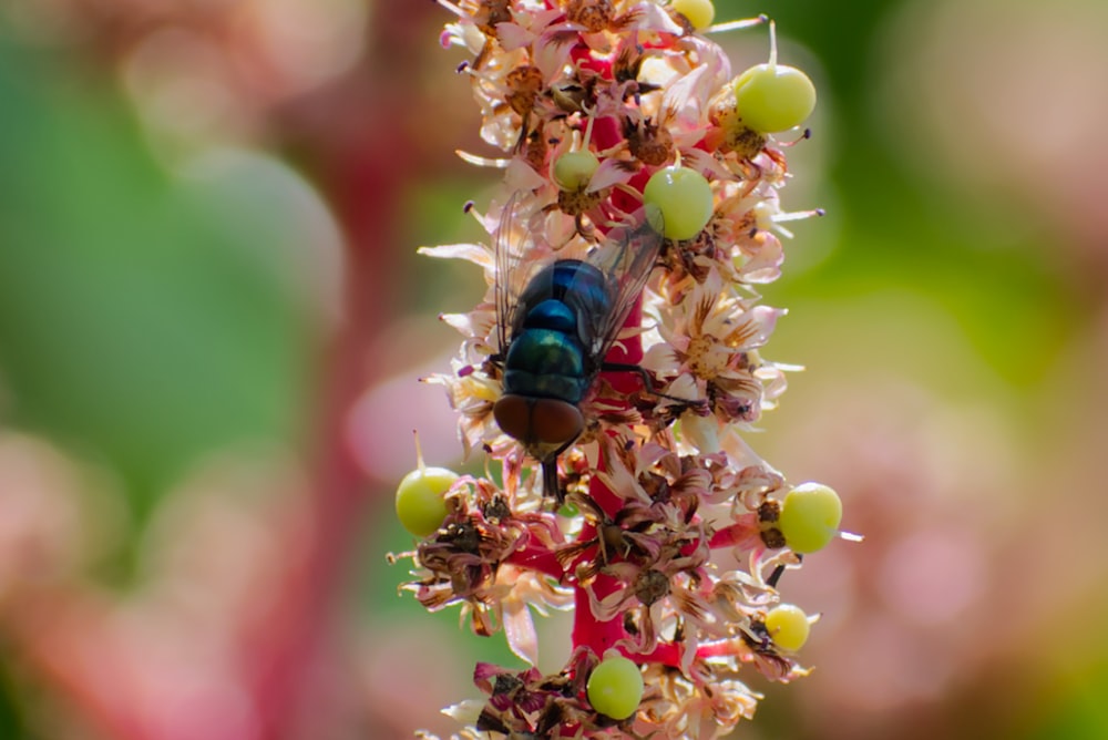 a blue bug sitting on top of a flower