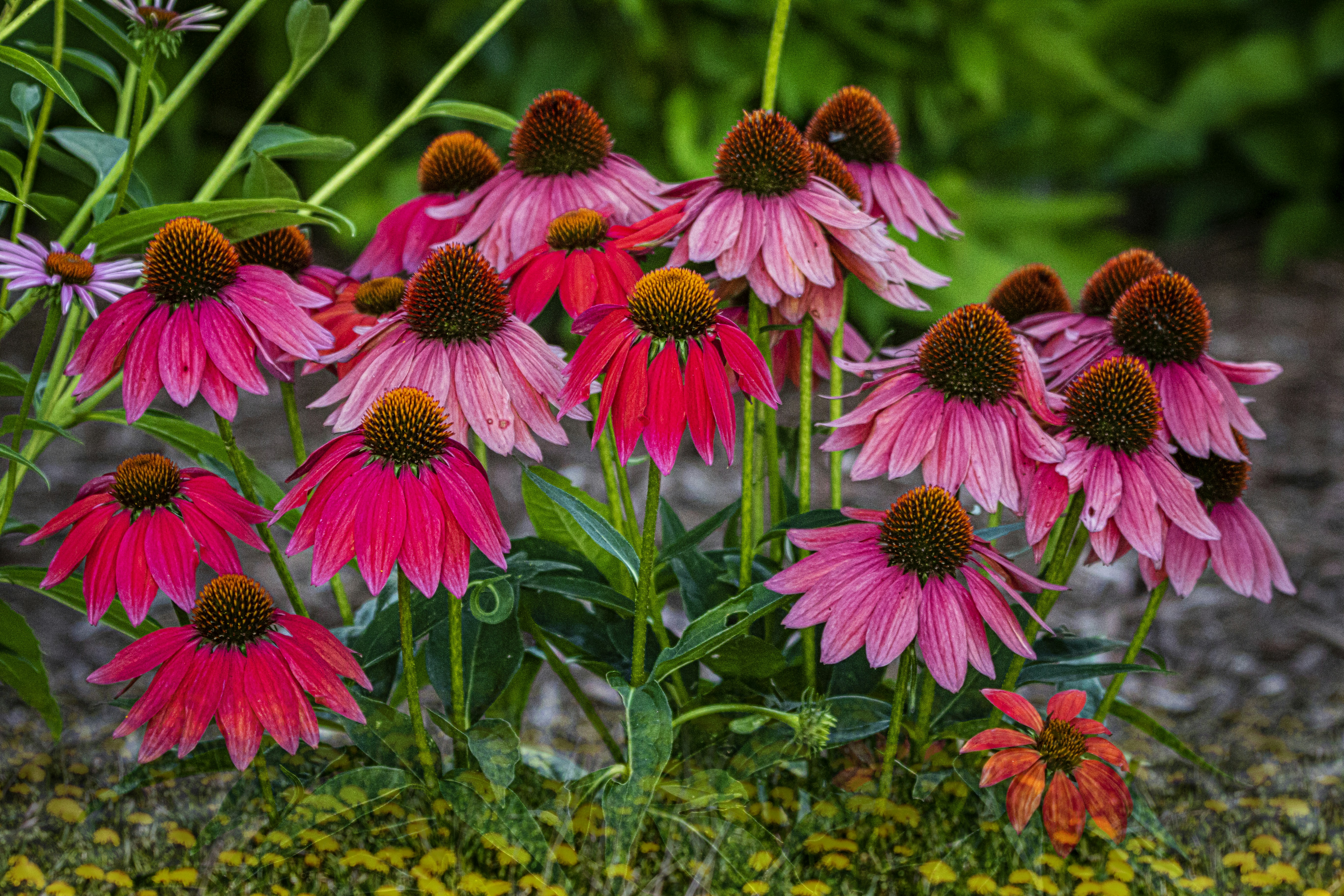 Photo by camerauthor