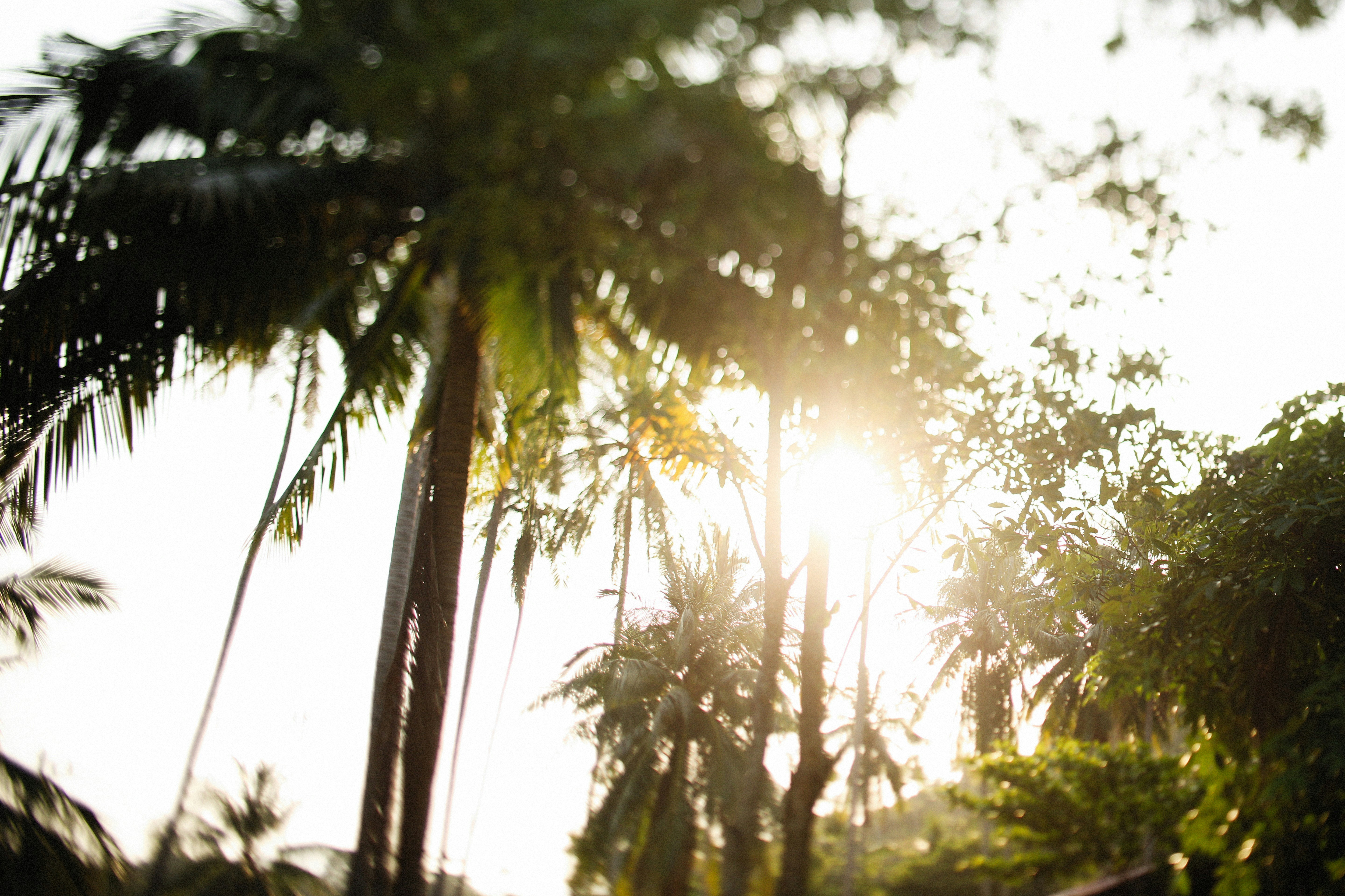 Photo by alexeydemidov