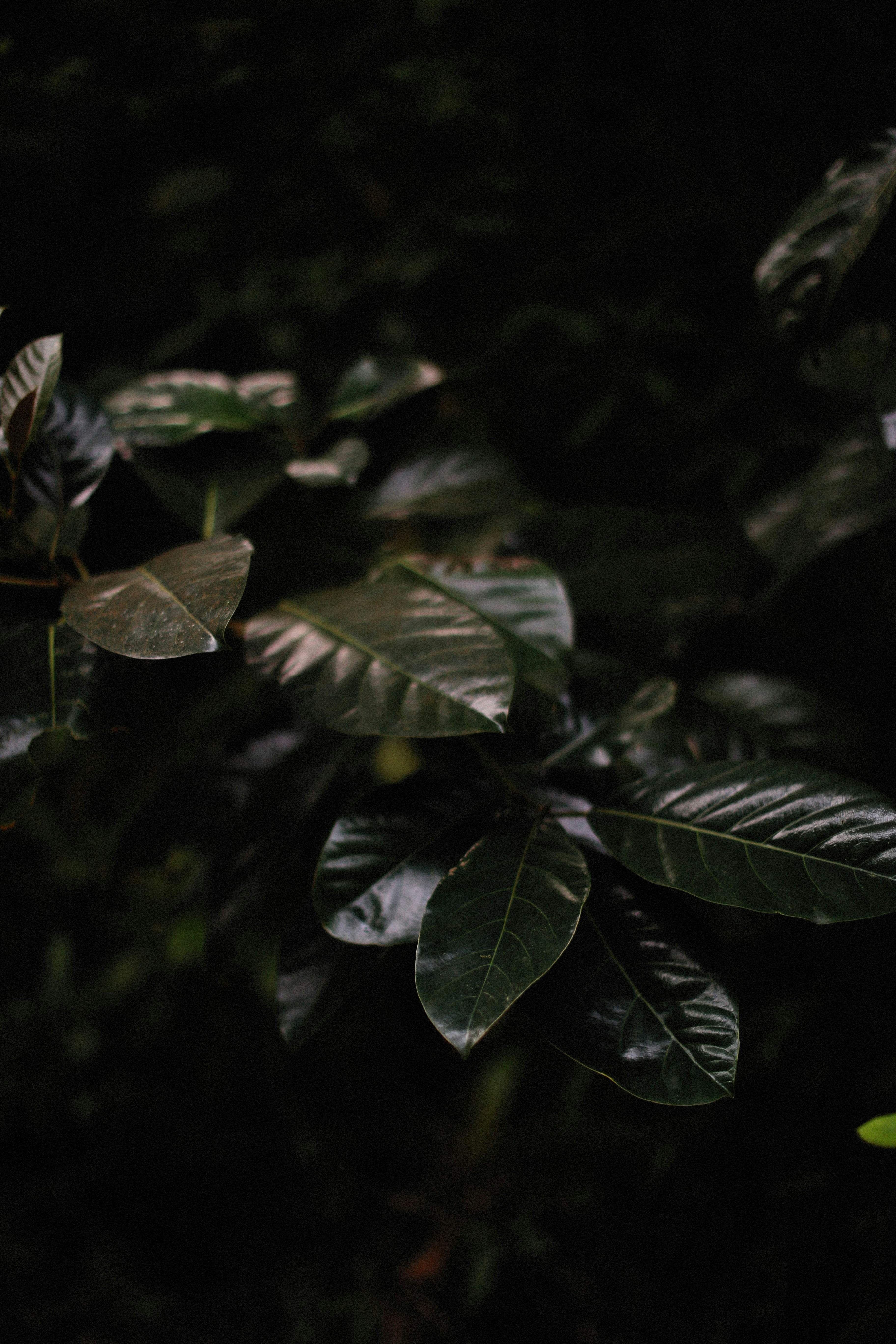 Photo by alexeydemidov