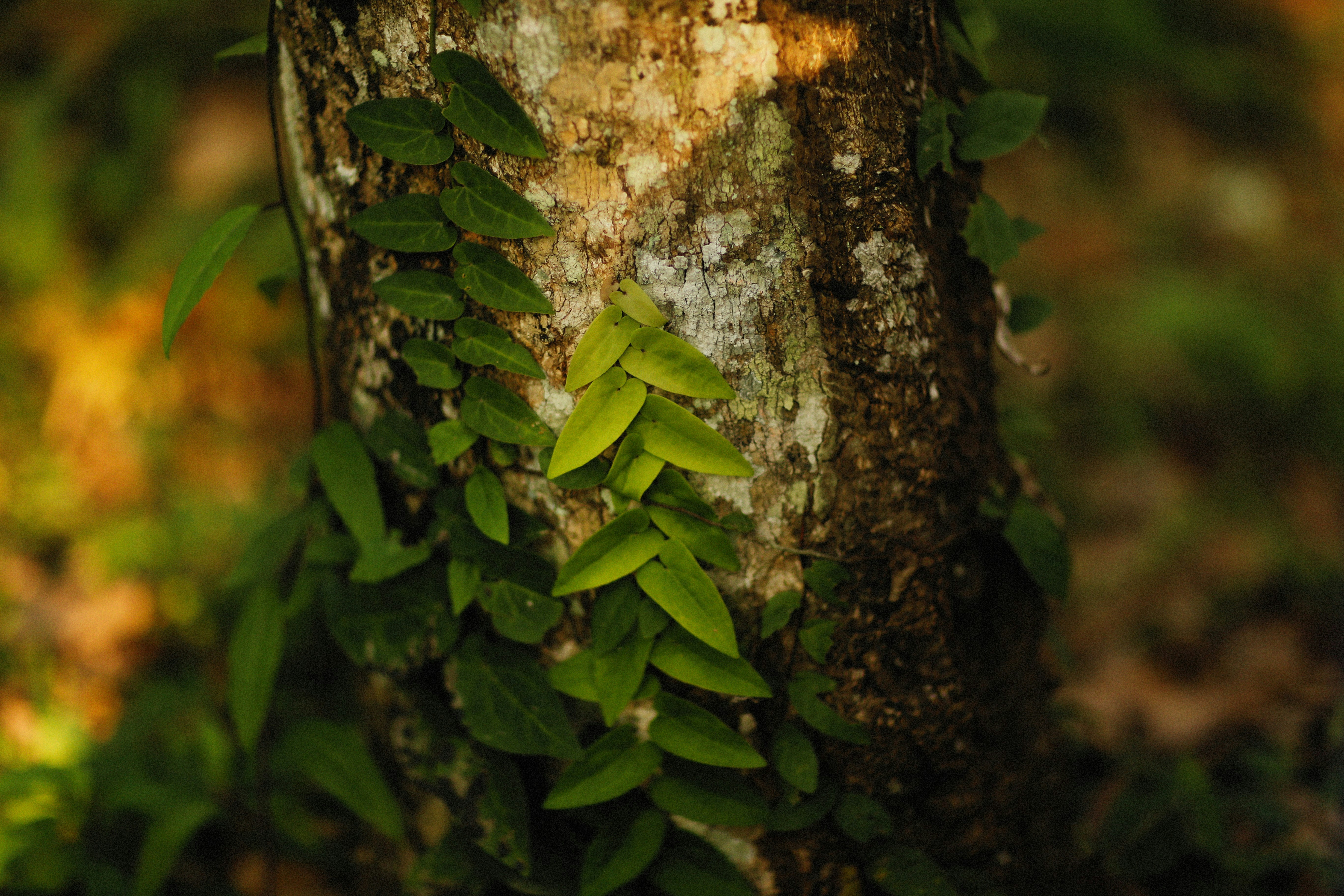 Photo by alexeydemidov