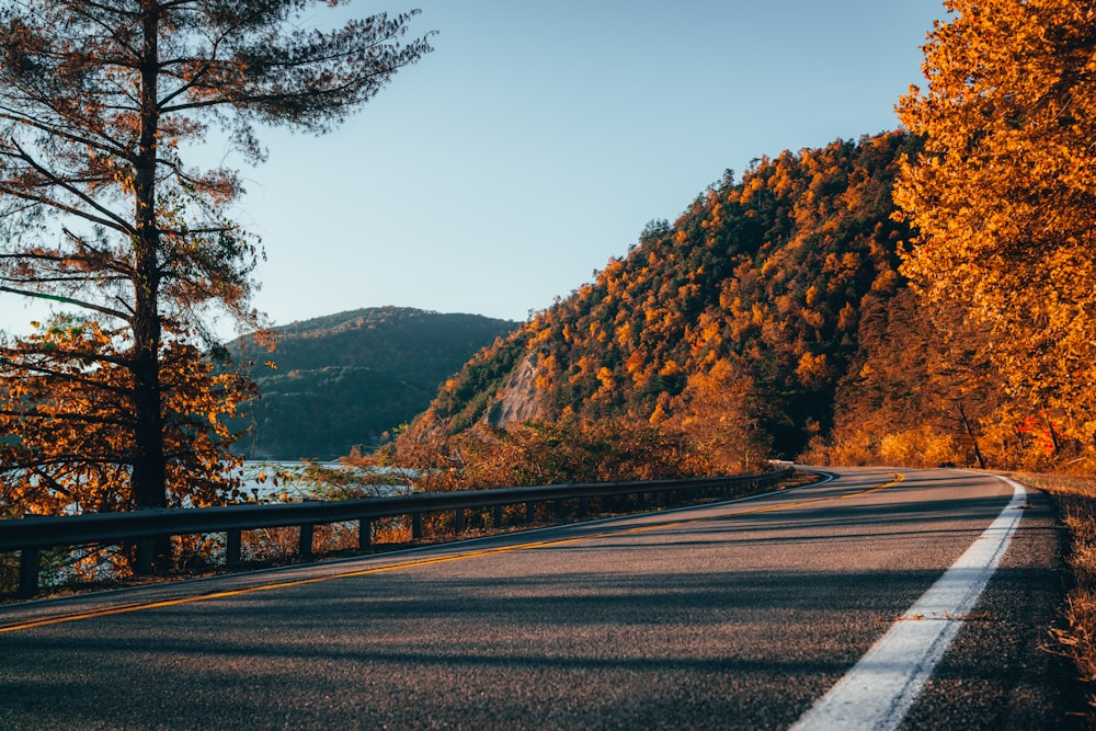 a scenic road with trees and mountains in the background