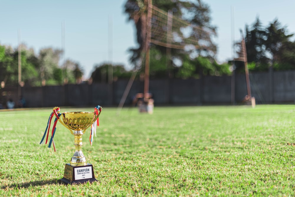 a trophy sitting on top of a lush green field