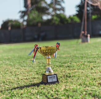 a trophy sitting on top of a lush green field