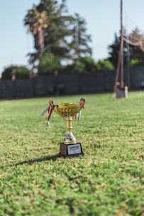 a trophy sitting on top of a lush green field