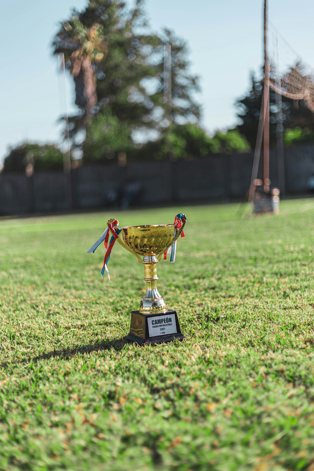 a trophy sitting on top of a lush green field