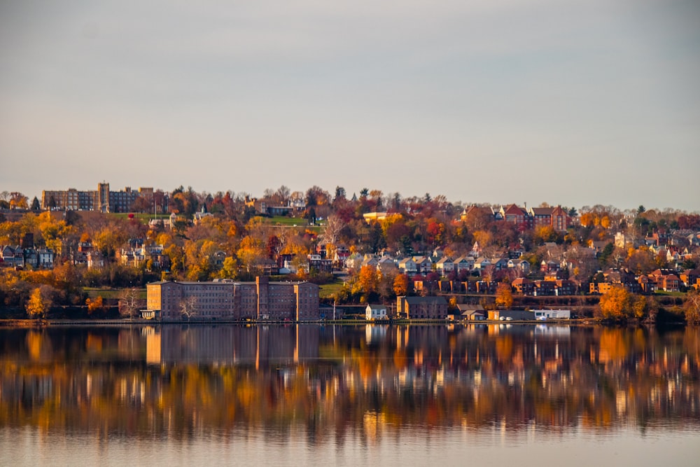 a body of water with a city in the background