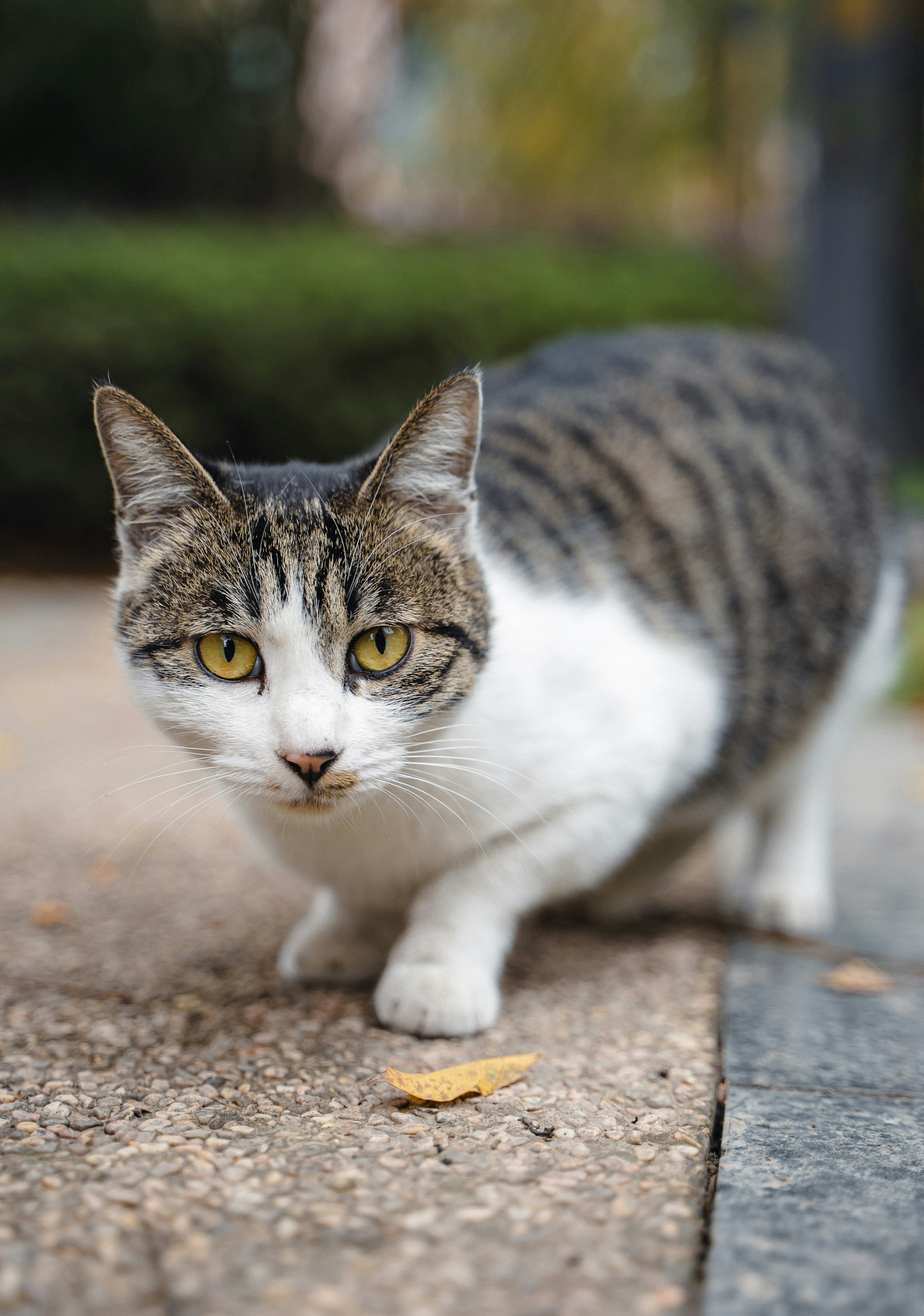 Photo by yooho962464