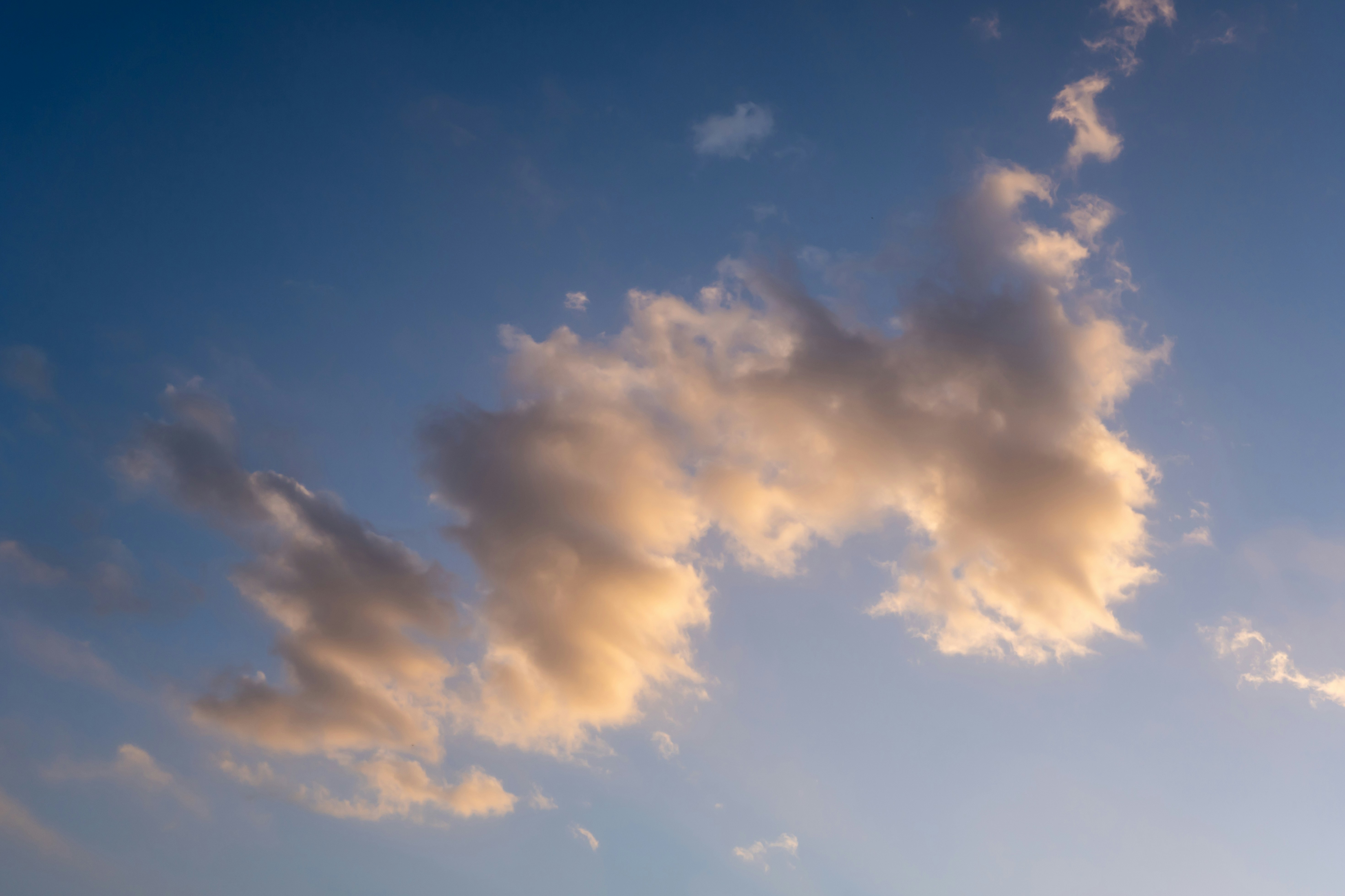 Photo by novamiracle