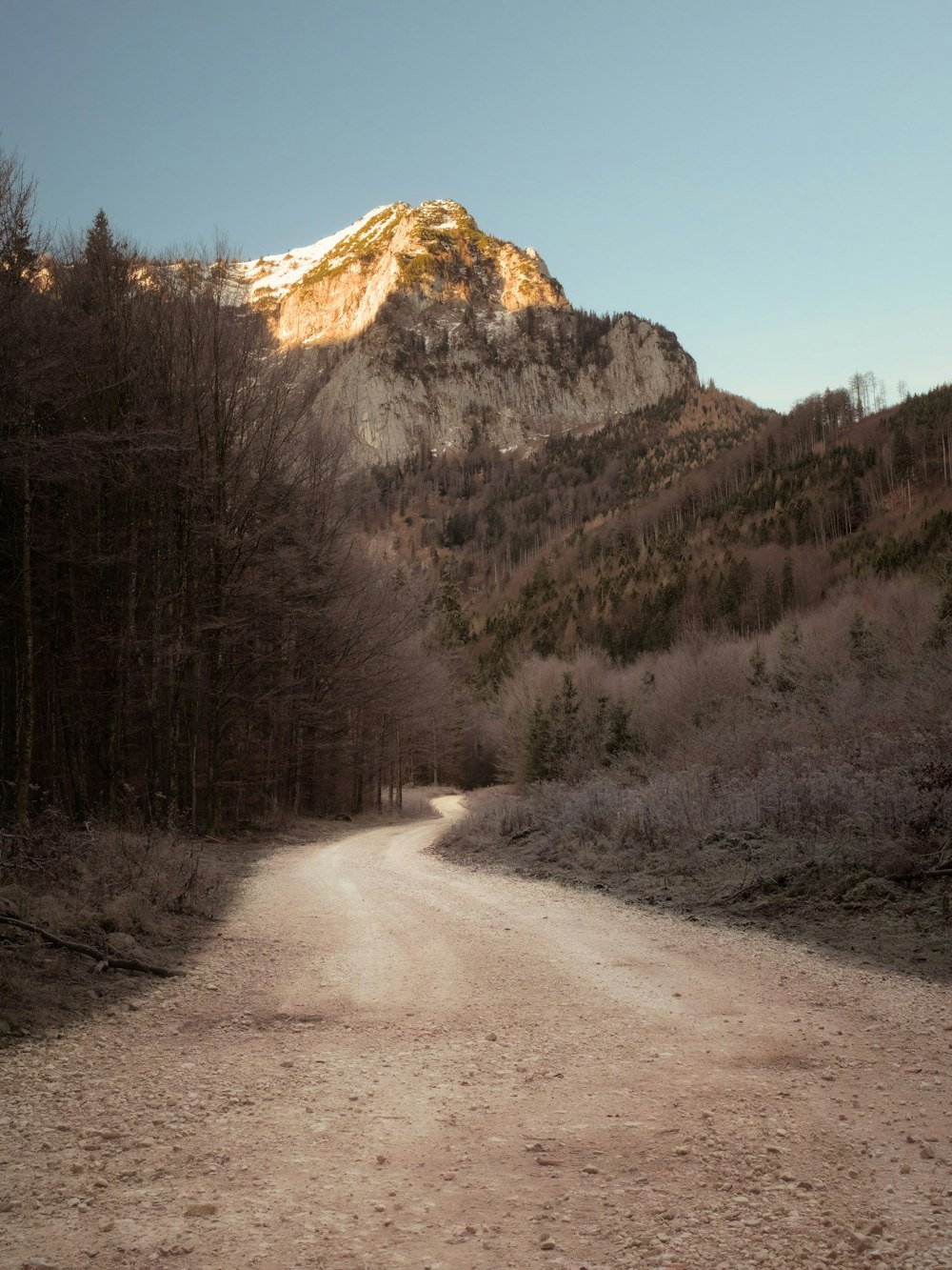 Un chemin de terre avec une montagne en arrière-plan