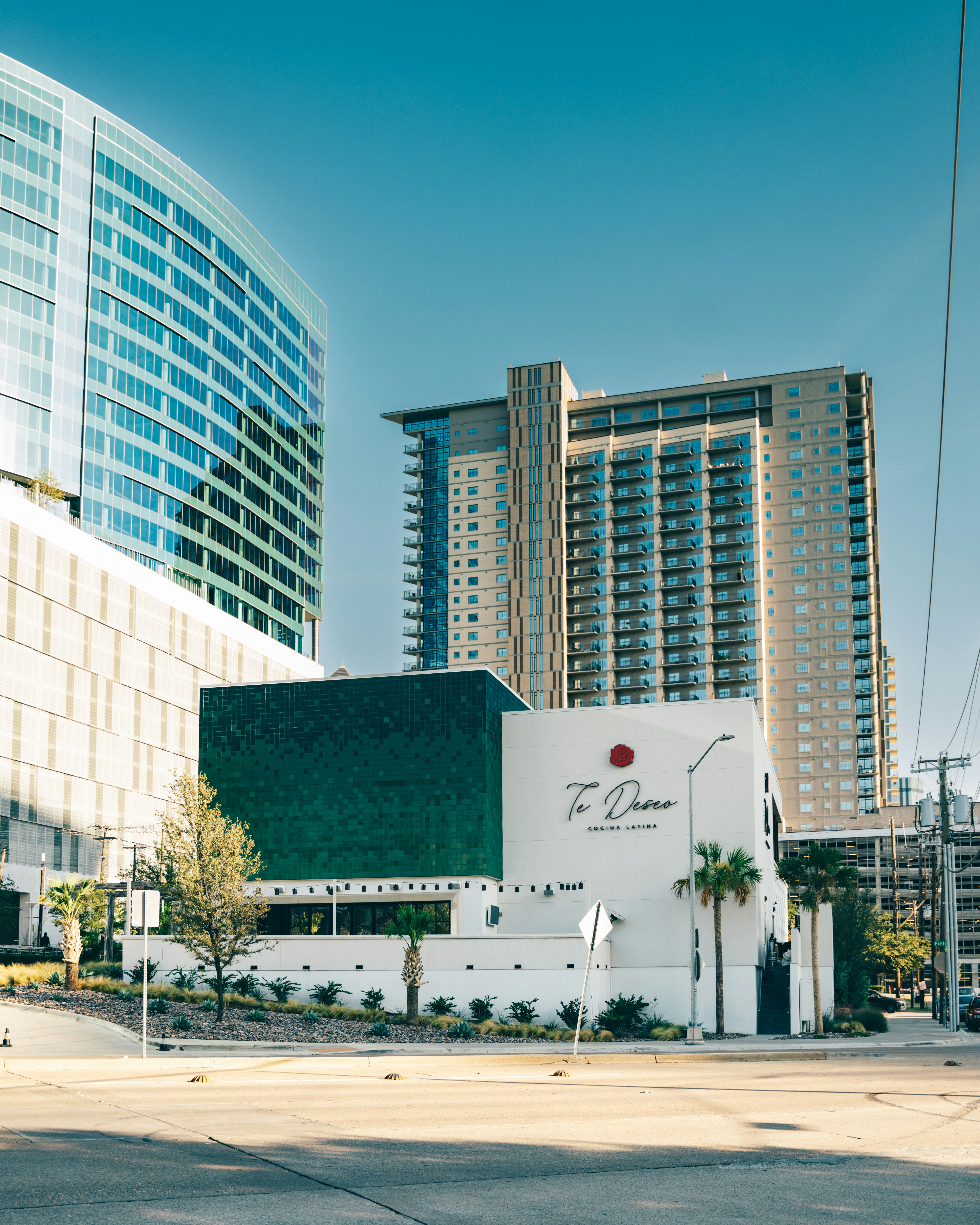 a large white building with a palm tree in front of it