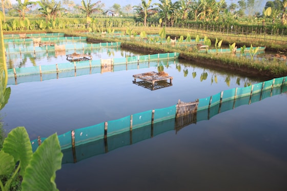 A vibrant integrated farm showing fish ponds, crop fields, and plantation areas harmoniously coexisting.