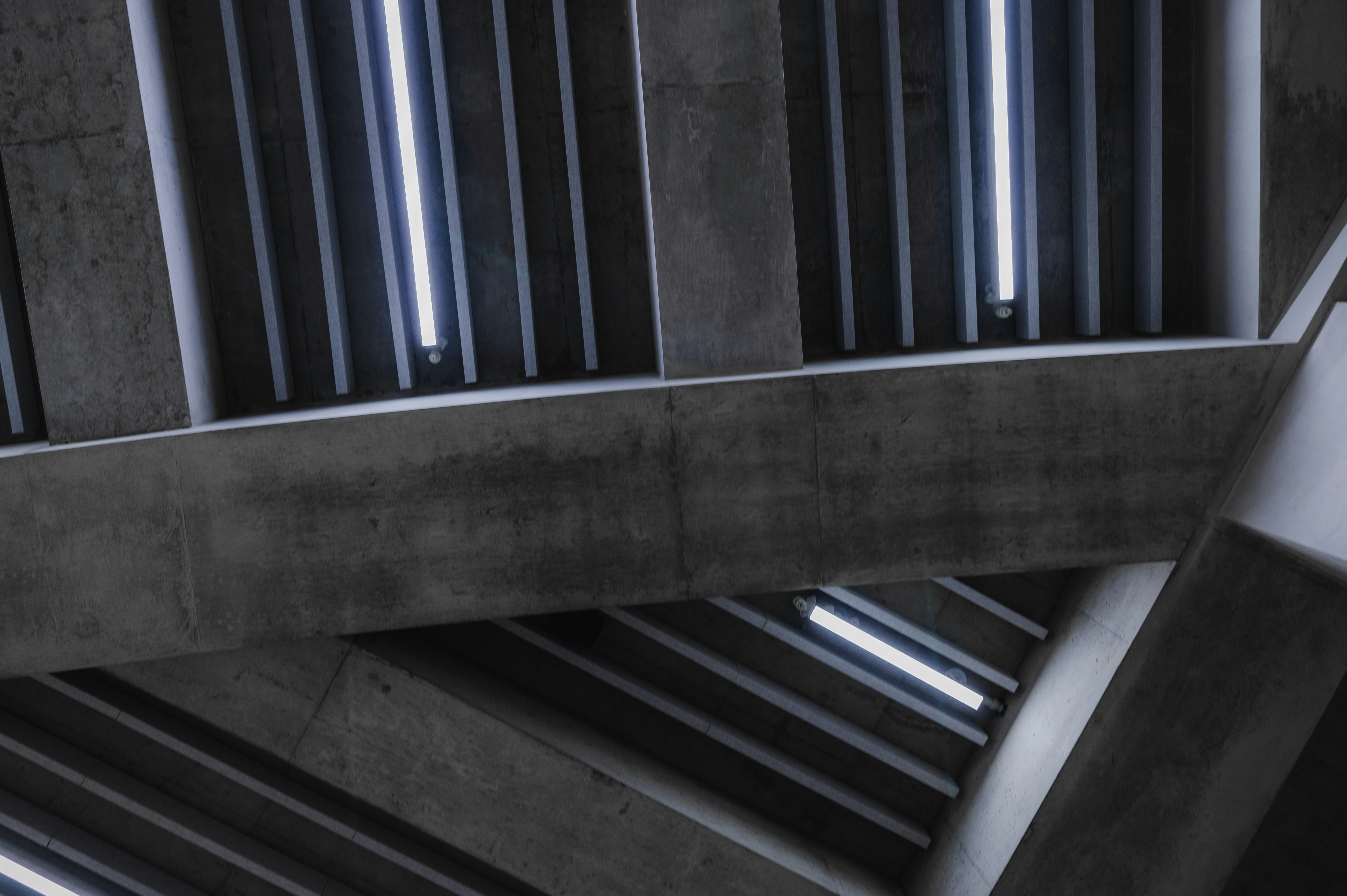 Photo by ryunosuke_kikuno