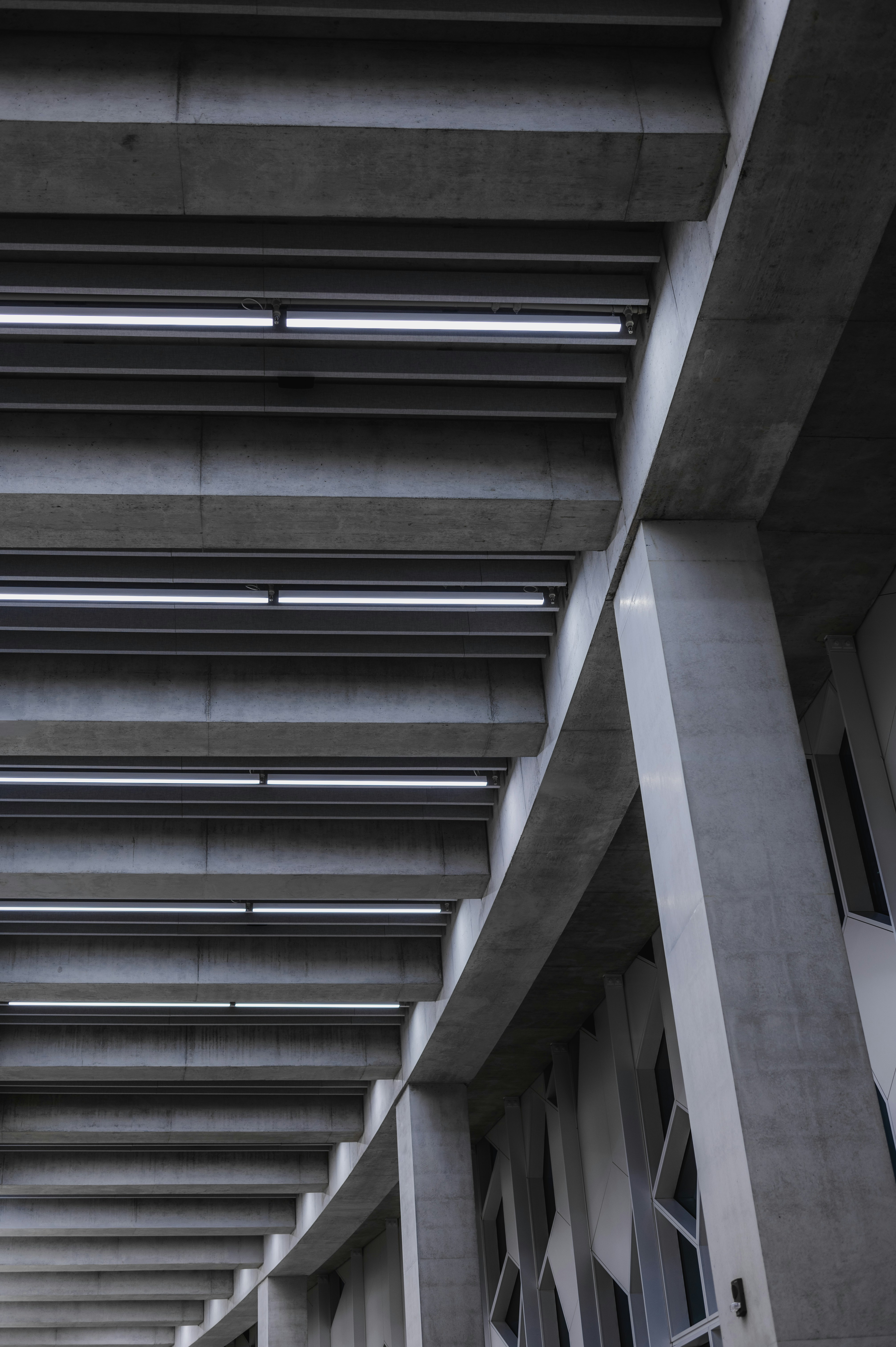 Photo by ryunosuke_kikuno