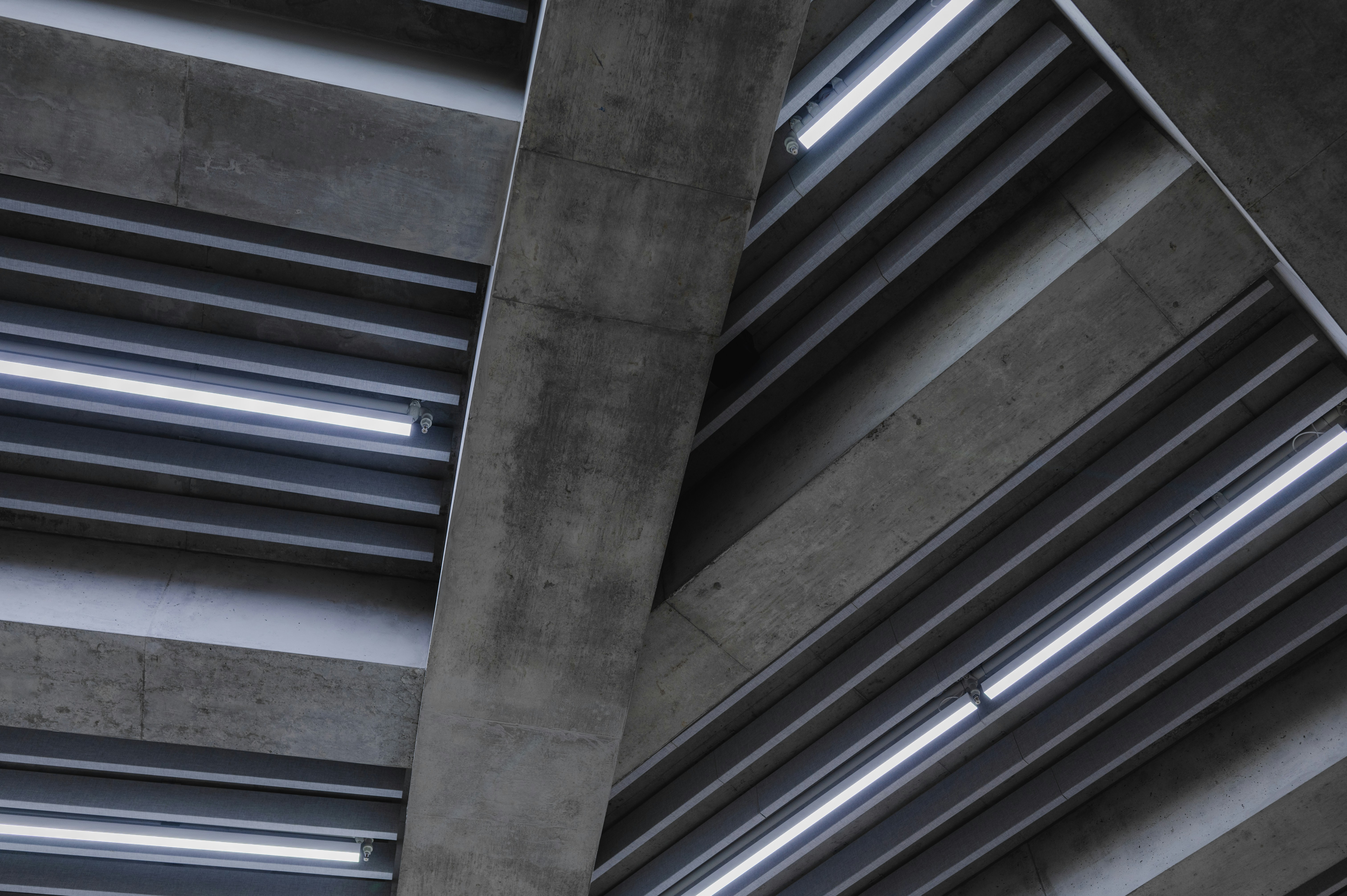 Photo by ryunosuke_kikuno