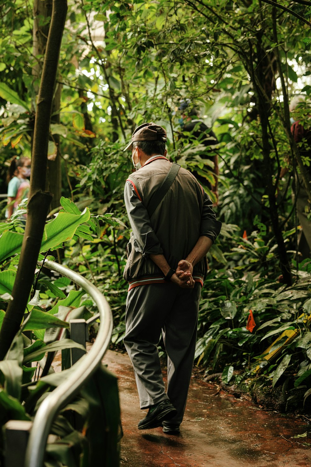 a man walking through a lush green forest