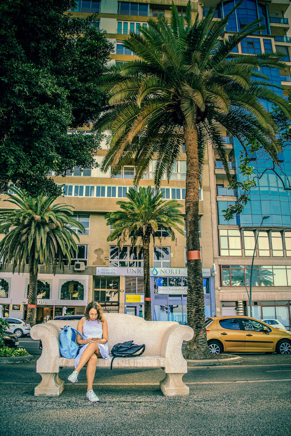 a woman sitting on a bench next to a palm tree